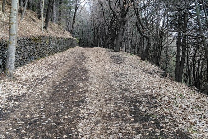 Private tour of Mount Etna and the Alcantara Gorges - From Taormina toward the volcano