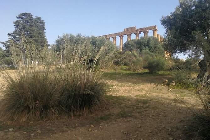 Private Tour to Segesta, Erice and Wine Tasting in Marsala - Castellammare del Golfo and a Sicilian breakfast