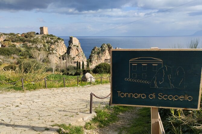 Private Tour to Segesta, Erice and Wine Tasting in Marsala - What the private vehicle adds