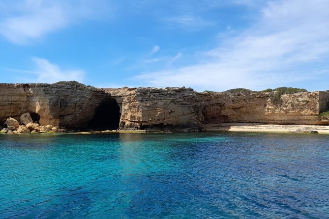 Private tour with fish products and Full Drinks - Key points to know before booking