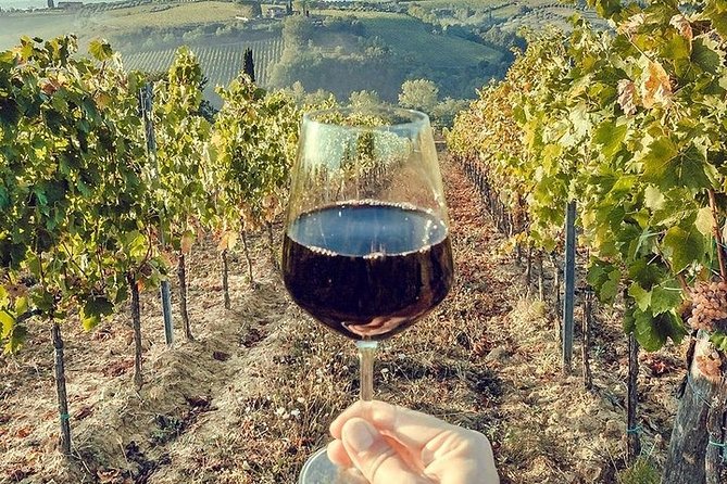 Private visit to the cellars of Etna with wine tasting - Patria, Emijo, and the cellar experience