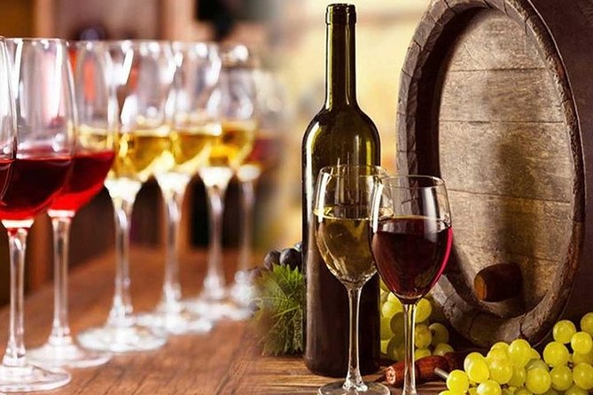 Private visit to the cellars of Etna with wine tasting - Tasting Etna wine with lunch included