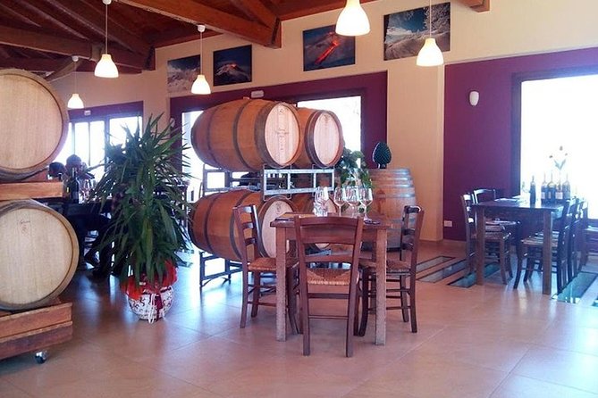 Private visit to the cellars of Etna with wine tasting - Is $220.02 per person fair?