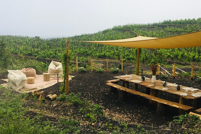 Private Wine and Food Tasting Immersed in Nature in Milo - Key points at a glance