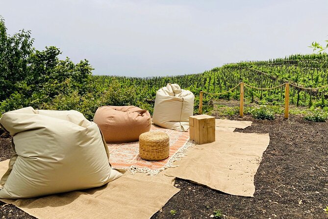 Private Wine and Food Tasting Immersed in Nature in Milo - How to fit the lunch into an Etna day