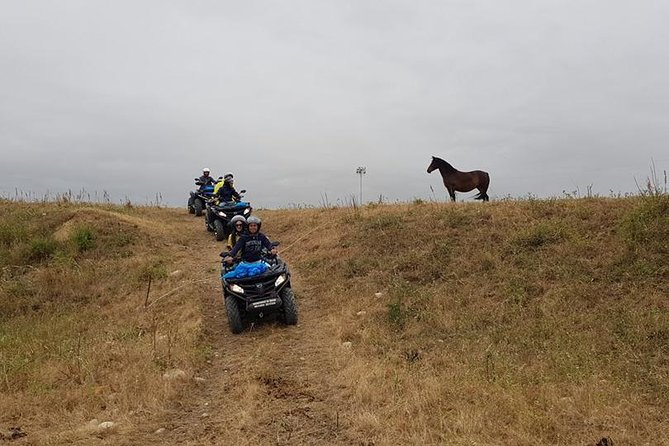 Quad excursion Hinterland Sciacca and Ribera - What the $88.87 price buys you