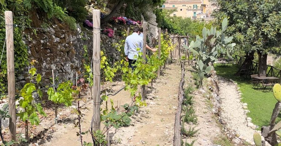 Radici: IImmerse yourself in the heady scents of our garden - A Garden Hidden Behind Ragusa Ibla’s Monuments