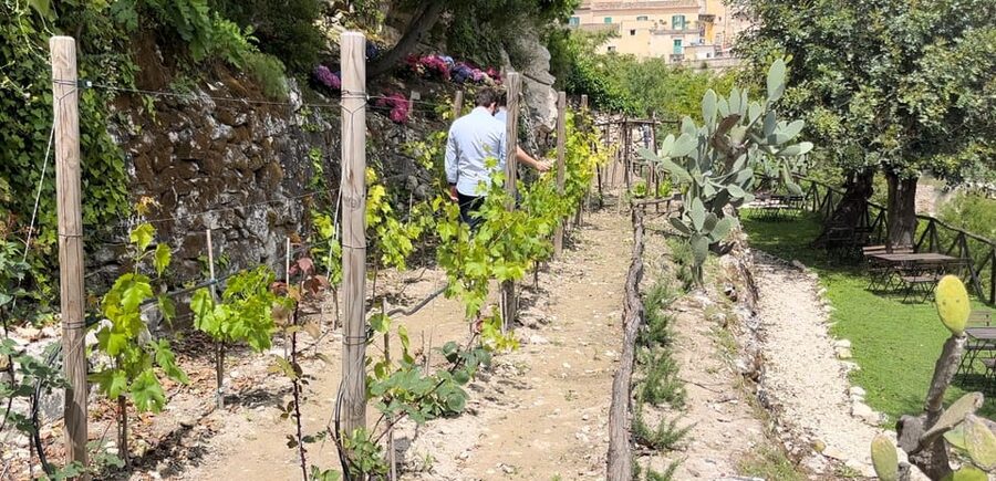 Radici: IImmerse yourself in the heady scents of our garden - Stonework That Gives the Garden Its Character