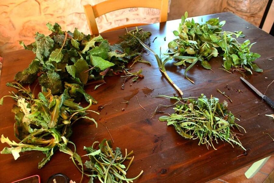 Ragusa Countryside Home Cooking Class & Meal - Key points to know before booking