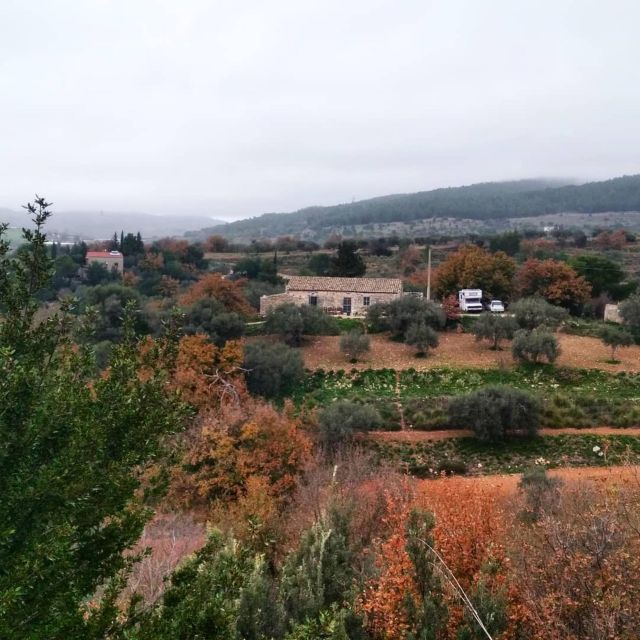 Ragusa Countryside Home Cooking Class & Meal - Should you book this Ragusa cooking class?