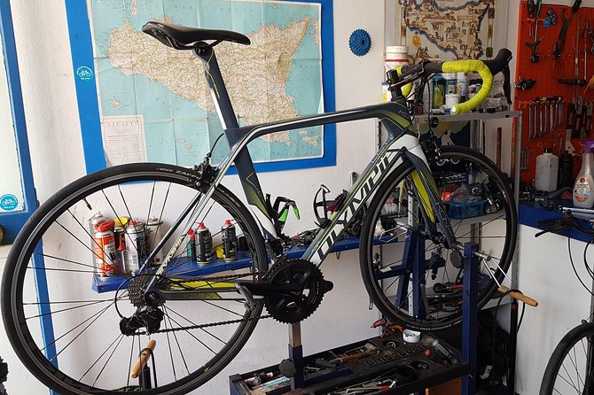Rent road bike - Carbon or aluminum, choose the ride that fits your day