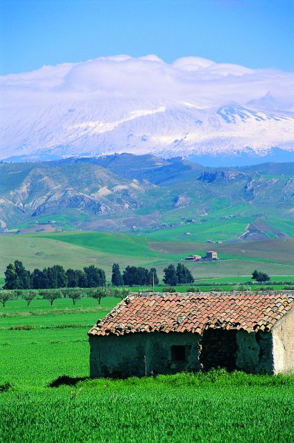 Scenic Tour of Etna foot hills and Alcantara Gorges - The Alcantara Gorges and Their Columned Walls