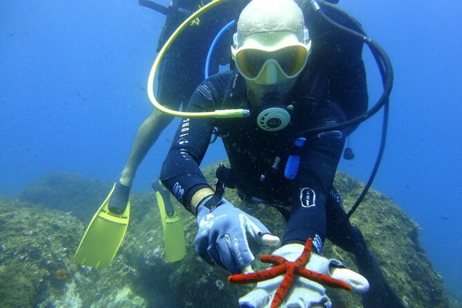 Scuba Diving Experience - Weather cancellations and the need for a backup plan