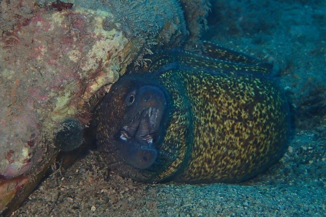 Scuba Diving Experience in Taormina - Your first briefing and choice of site