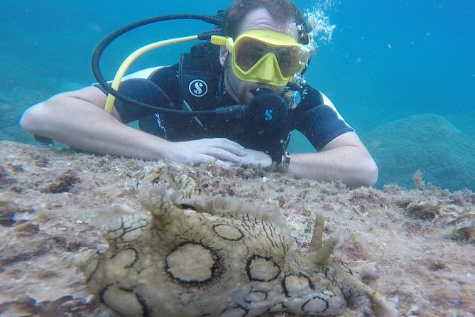 Scuba Diving Experience in Taormina - What certified divers should know