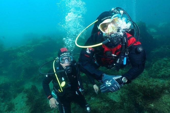 Scuba Diving Experience - Clear instruction for first-time scuba participants