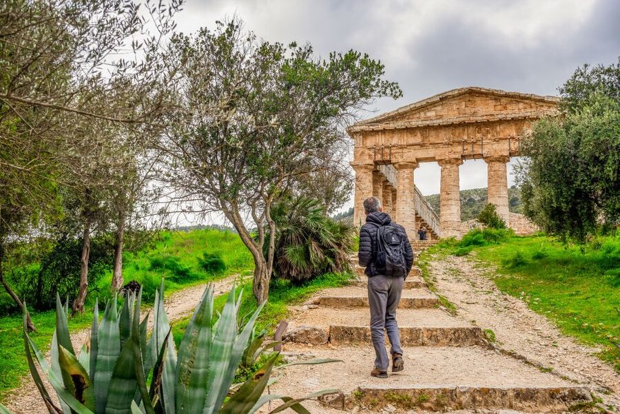 Segesta, Erice and Salt Pans Full-Day Excursion from Palermo - Who should book this excursion