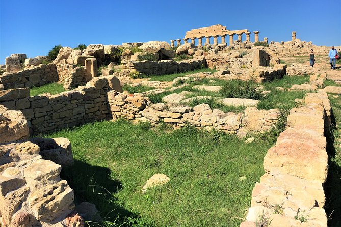 Selinunte Archaeological Park and Cusa Caves from Palermo, Private Tour - Selinunte’s 270 hectares require a plan