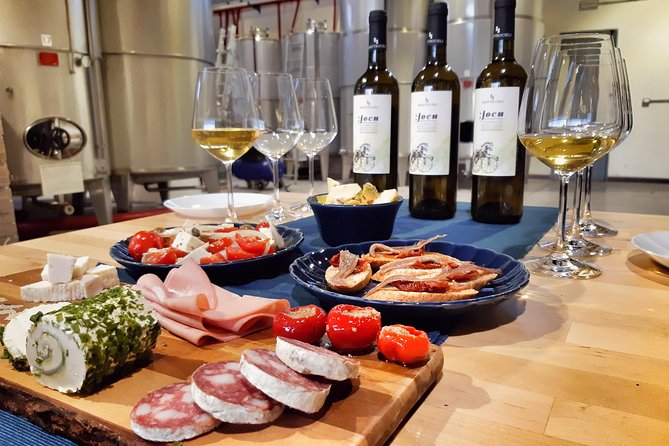 Sensory tasting with organic wines - Meeting the young winemakers at Cantina Quattrocieli