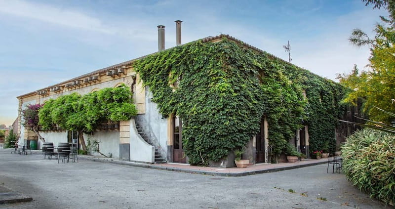 Sicilian Soul: Winery Tour, Wine & Food Tasting in Catania - Key points to know before booking