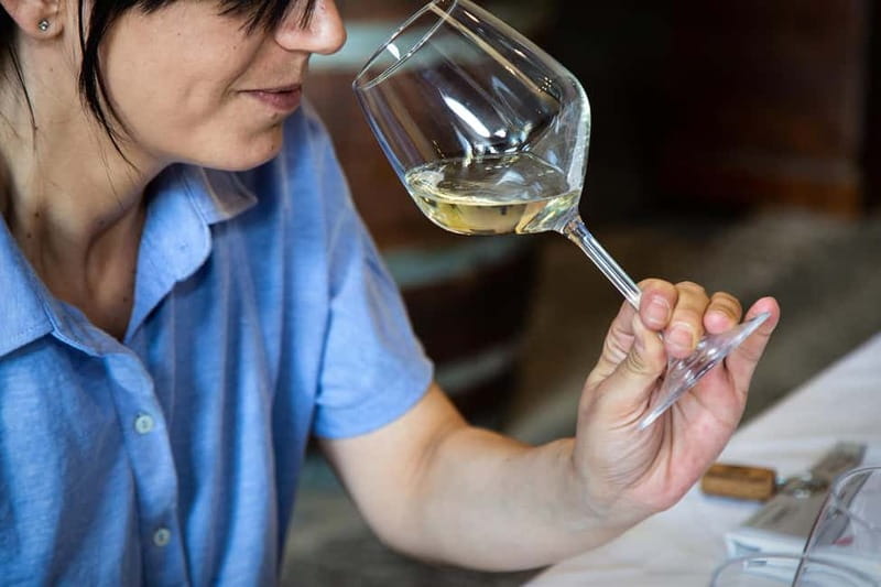 Sicilian Soul: Winery Tour, Wine & Food Tasting in Catania - Who will enjoy this experience most