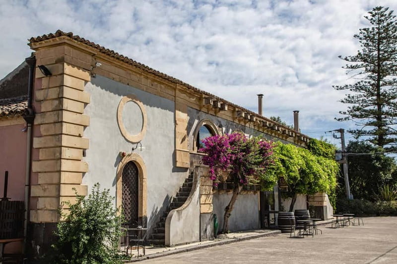 Sicilian Soul: Winery Tour, Wine & Food Tasting in Catania - Three wines, three ways to read Sicily