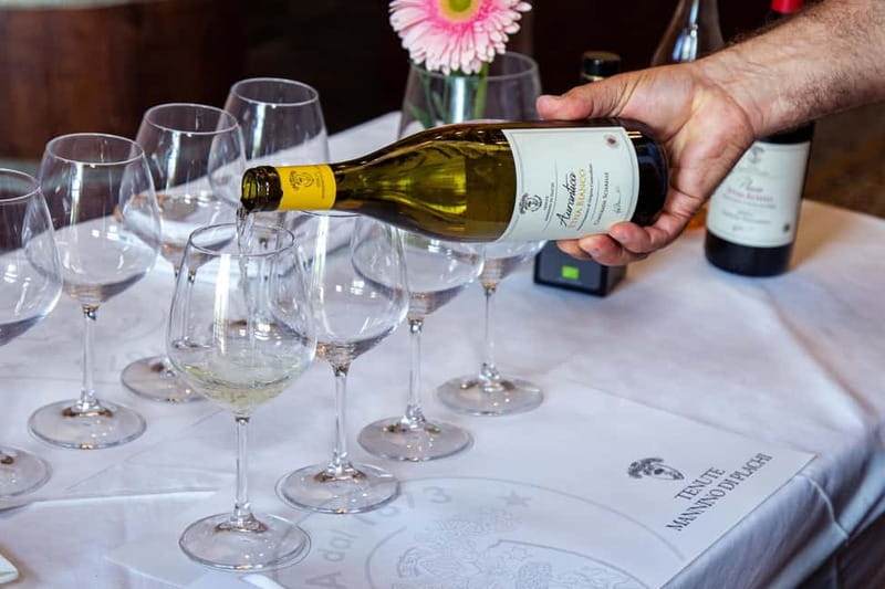 Sicilian Soul: Winery Tour, Wine & Food Tasting in Catania - The food makes this more than a wine flight
