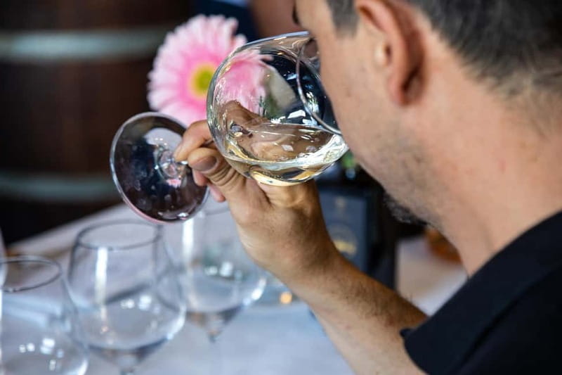 Sicilian Soul: Winery Tour, Wine & Food Tasting in Catania - Is $55.80 a fair price?