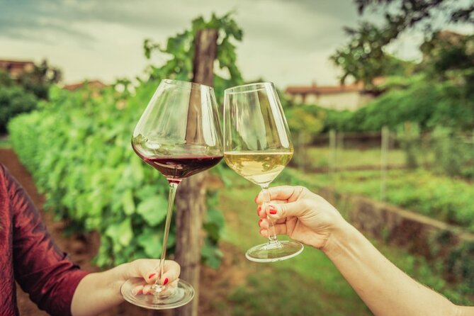 Sicilian Winery Tour with Wine Tasting from Palermo - The private setting and English guide