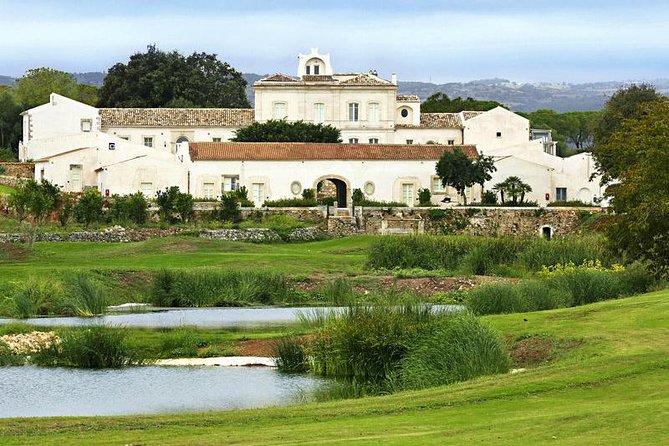 Sicily Baroque Grand Tour (Private) - Day three: Planeta wine and a farmhouse music dinner