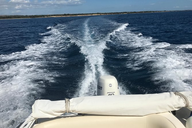 Sicily Boats Avola: Plemmirio boat tour 4 people 4 hours - Price, group size, and who gets the most value