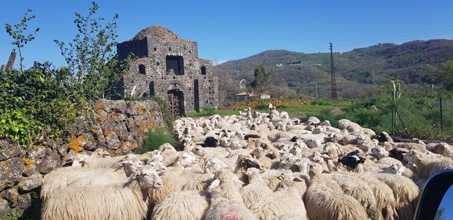 Sicily: Mount Etna 4x4 Jeep Tour with Lava Caves & Forests - The Alcantara Gorges after Etna
