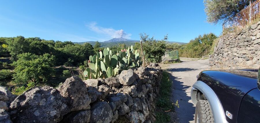 Sicily: Mount Etna 4x4 Jeep Tour with Lava Caves & Forests - Transport, timing, and what the price means