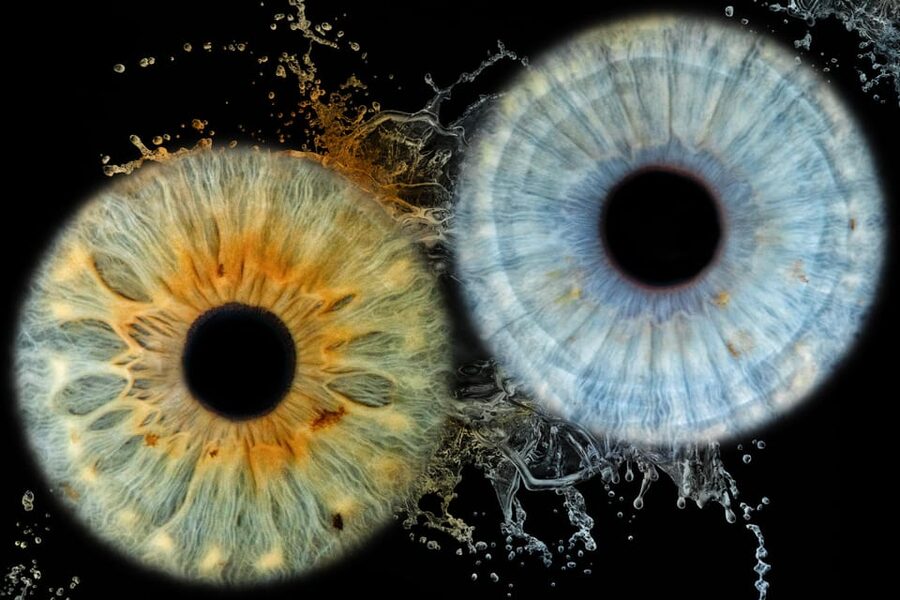 Siracusa Iris Photography Experience - Your eye becomes the subject in Ortigia