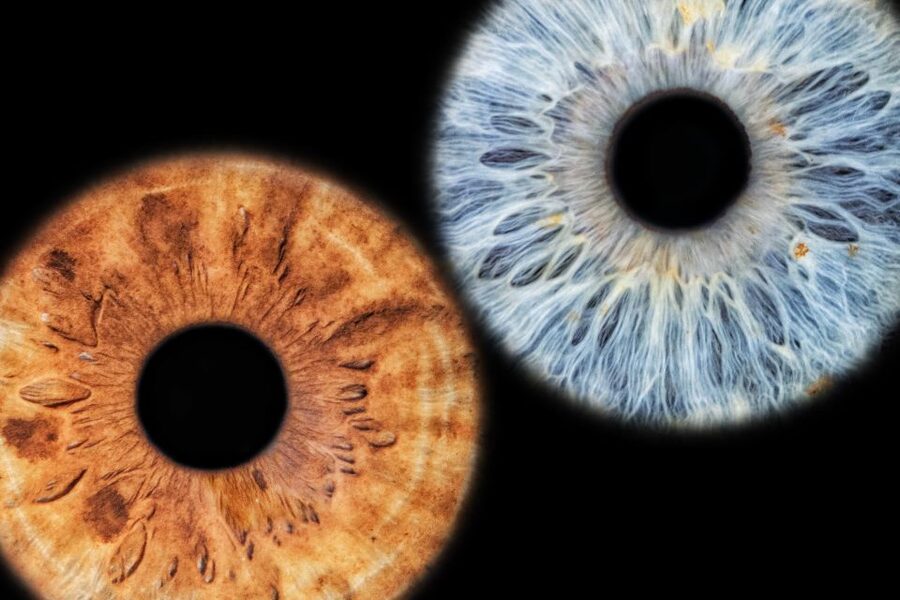 Siracusa Iris Photography Experience - Booking details that matter