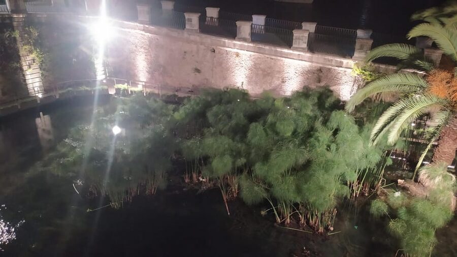 Siracusa Tour: Ortigia by Night in English - Via Dione and Palazzo Montalto
