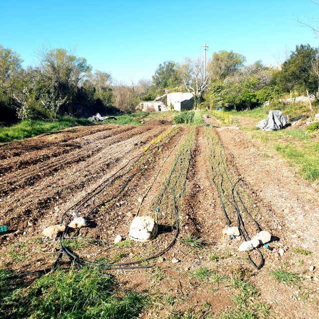 Slowlife Family Farm: From Garden to Table - What the $164.26 price buys you
