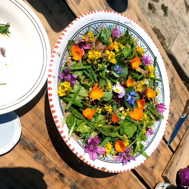 Slowlife Family Farm: From Garden to Table - Timing, meeting point, and practical planning