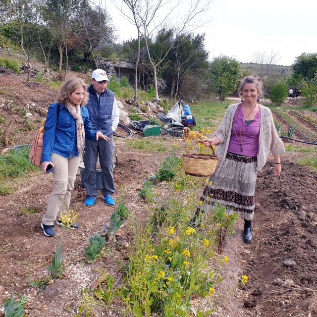 Slowlife Family Farm: From Garden to Table - Who will get the most from this farm visit?