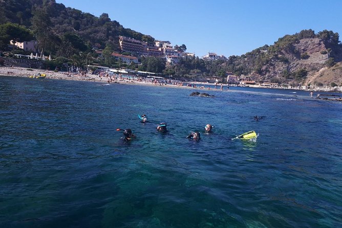 Snorkeling - Fifty minutes of unguided snorkeling