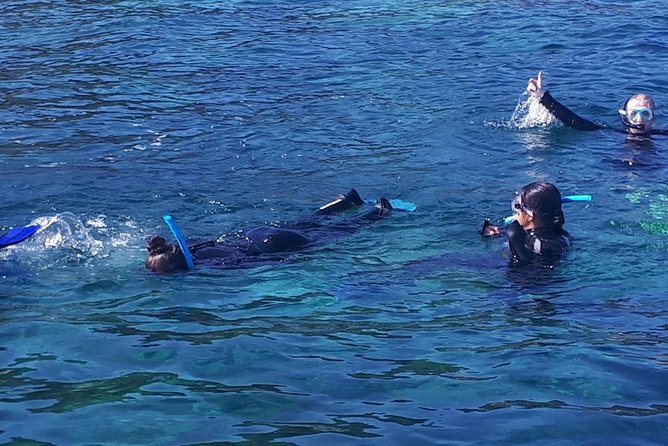 Snorkeling - Weather, cancellations, and practical planning