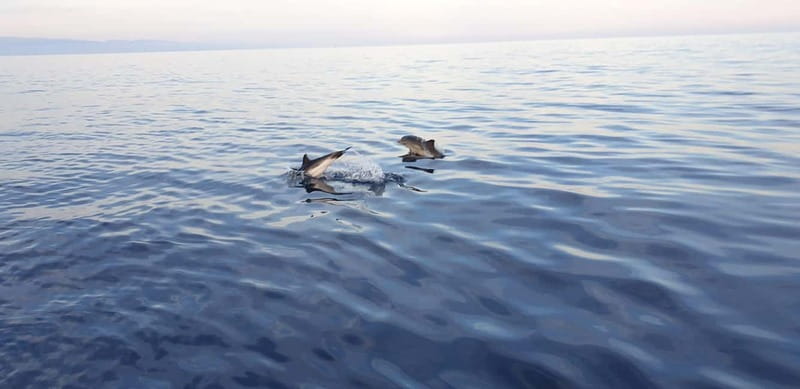 Sunset tour in search of dolphins with aperitif - Meeting Antonio in Giardini Naxos