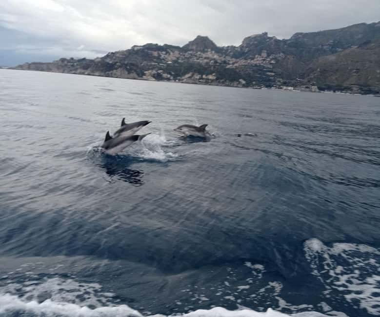 Sunset tour in search of dolphins with aperitif - The swim stop near Taormina