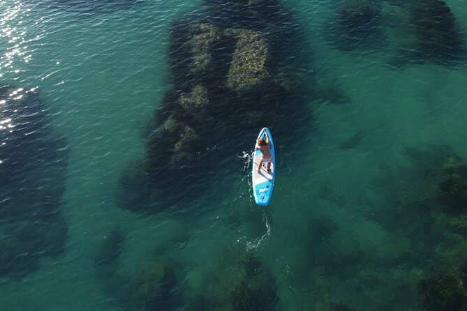 SUP Paddleboard Tour : From Cala Manbrù to Torre Salsa Reserve - What the Guide Adds to the Experience