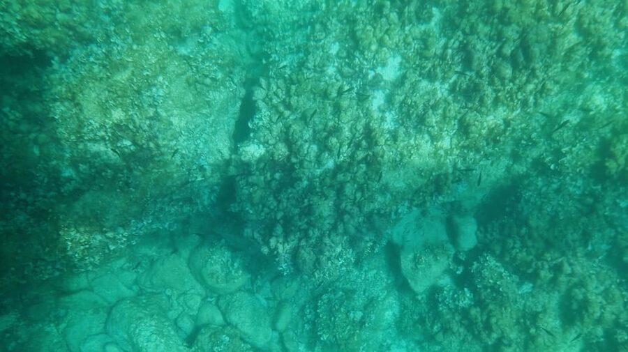 Syracuse: Coast and Sea Caves Full Transparent Boat Tour - Key points to know before you go