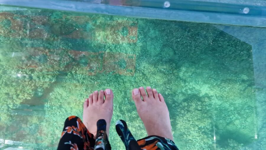 Syracuse: Coast and Sea Caves Full Transparent Boat Tour - How the $47 price compares
