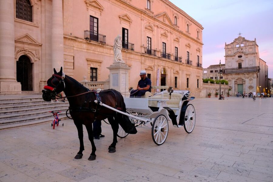 Syracuse: Highlights of Ortigia Guided Walking Tour - Who should book this Ortigia tour?