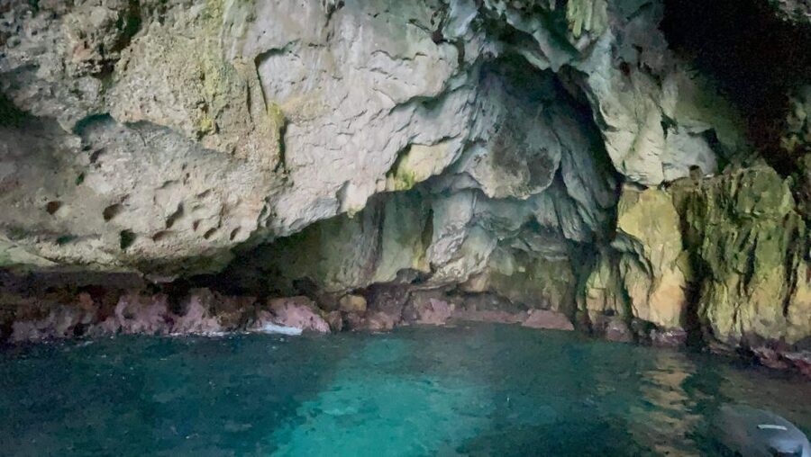 Syracuse: Ortigia Boat Trip with Caves and Pillirina - Castello Maniace and Arethusa Spring from the sea