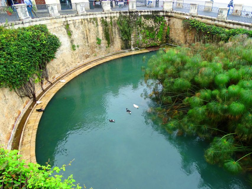 Syracuse: Ortygia & Neapolis Archaeological Park Guided Tour - The Roman amphitheater and Hieron’s altar