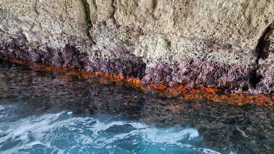 Syracuse: Picnic boat tour of Pillirina, Ortigia & sea caves - The sea caves and what conditions can change